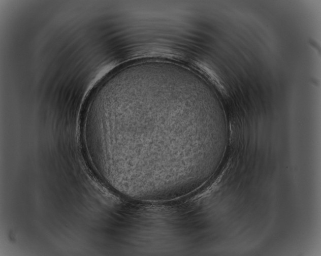 X0000093110780200710171222