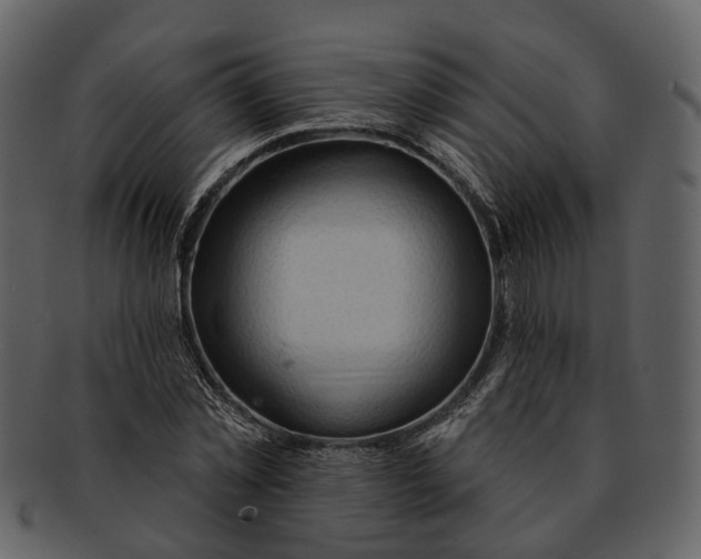 X0000093110781200710171222