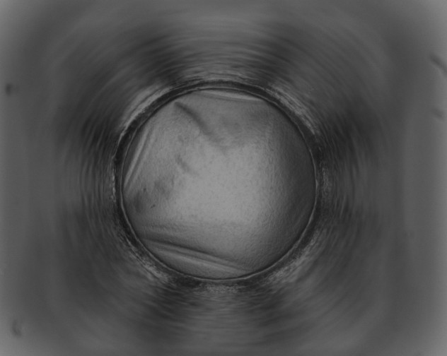 X0000093110782200710171222