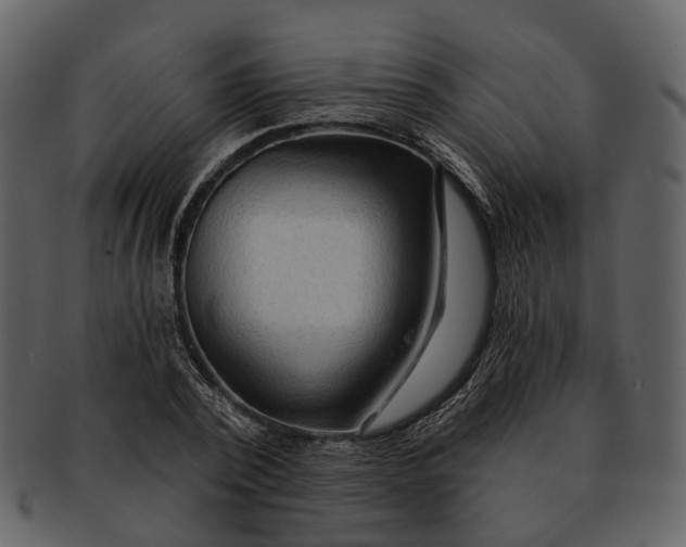 X0000093110784200710171222