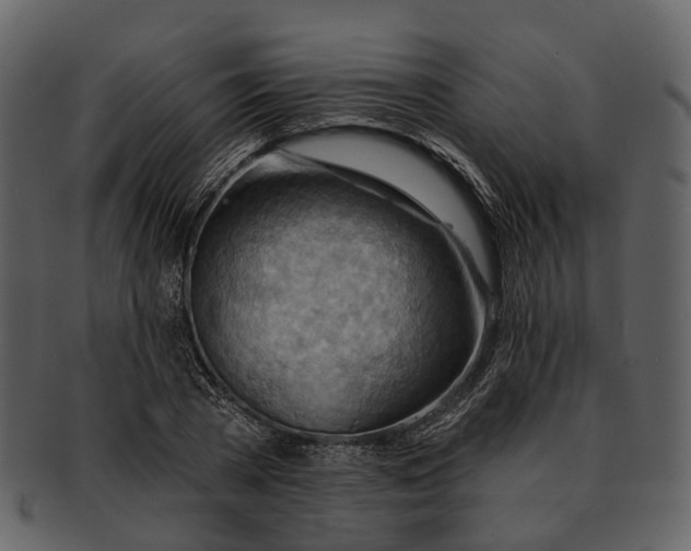 X0000093110785200710171222