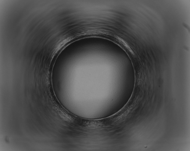 X0000093110786200710171222