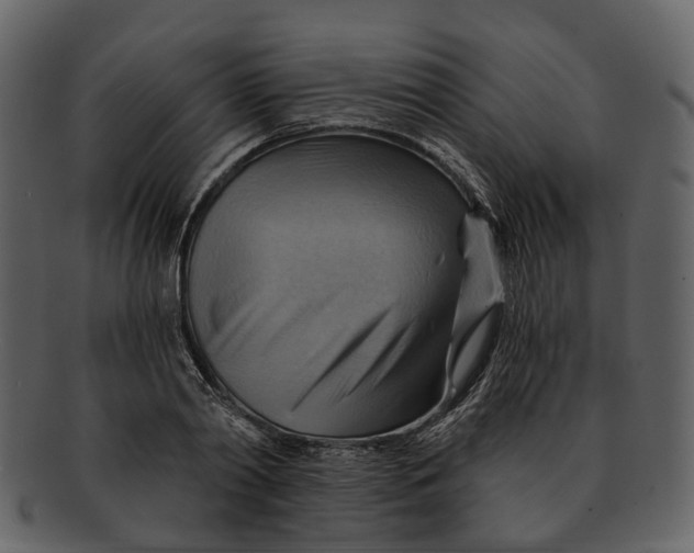 X0000093110790200710171221