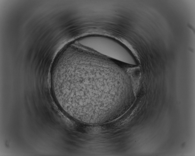 X0000093110791200710171221