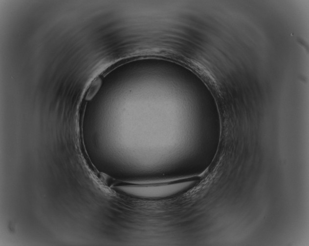 X0000093110792200710171221