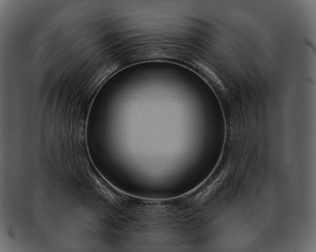 X0000093110793200710171221