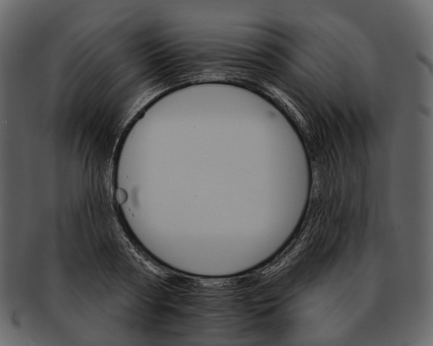 X0000093110794200710171221