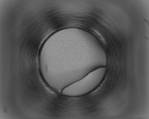 X0000093110796200710171221