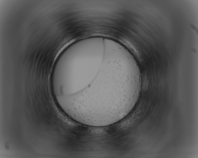 X0000093110798200710171221