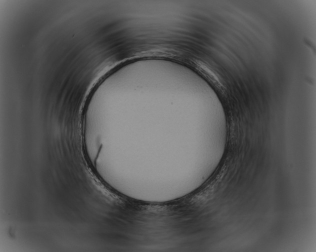 X0000093110800200710171221