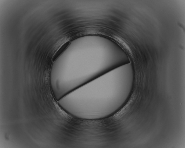 X0000093110801200710171221