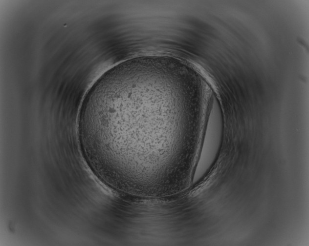 X0000093110803200710171221