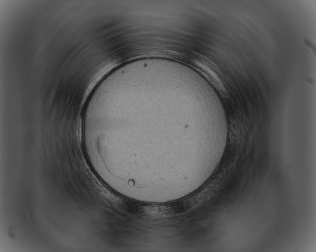 X0000093110804200710171221