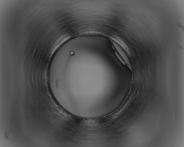 X0000093110806200710171221