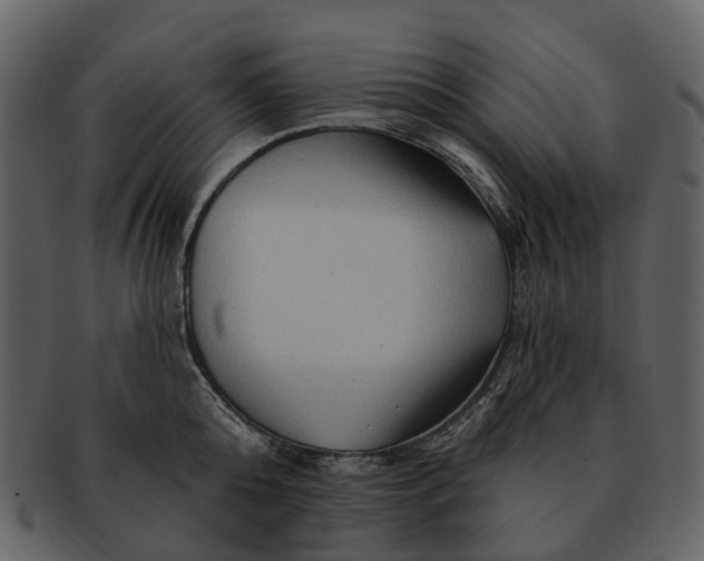 X0000093110808200710171221