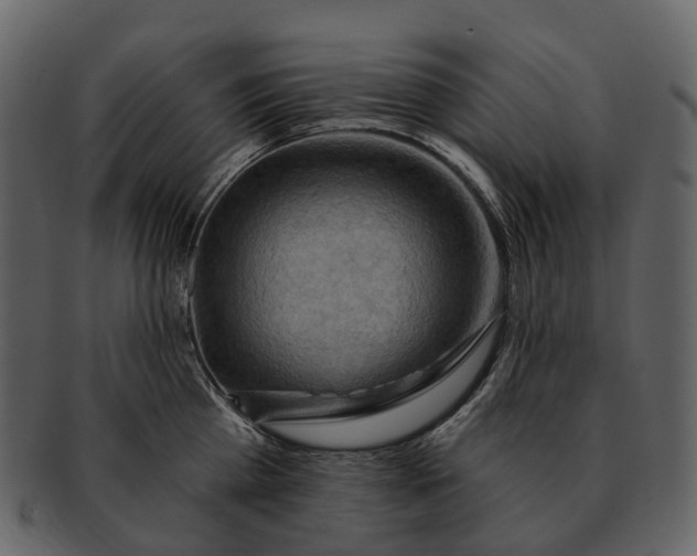 X0000093110809200710171221