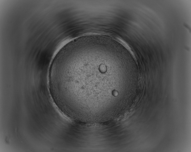 X0000093110811200710171221