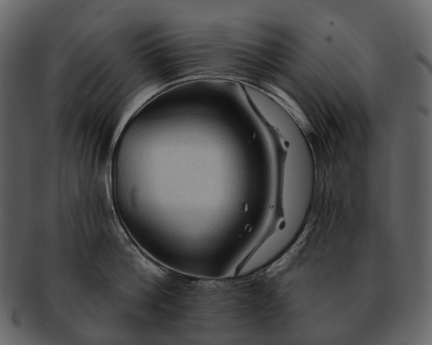 X0000093110812200710171221