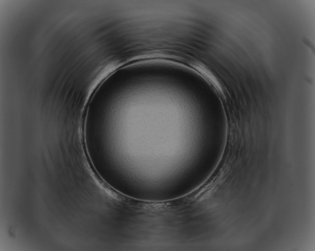 X0000093110813200710171221