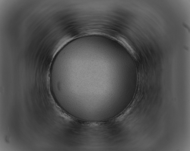 X0000093110814200710171221