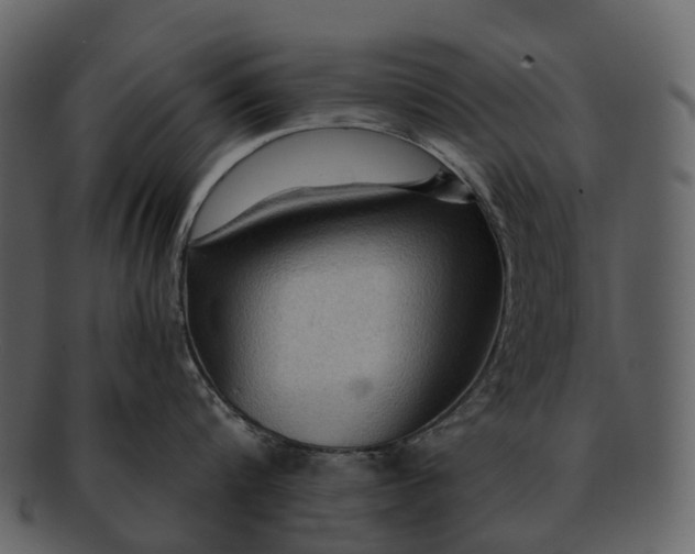 X0000093110816200710171221