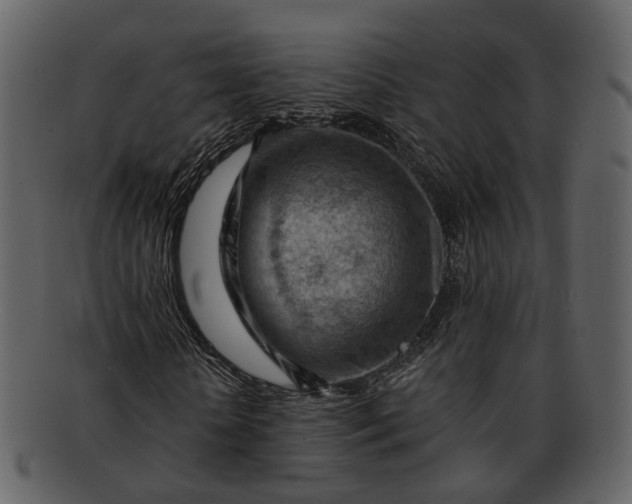 X0000093110818200710171220