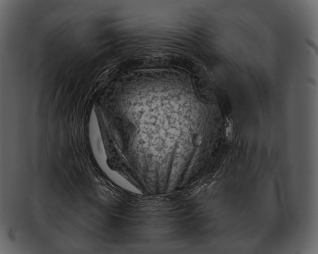 X0000093110819200710171220