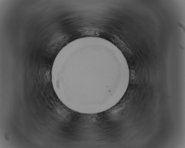 X0000093110820200710171221