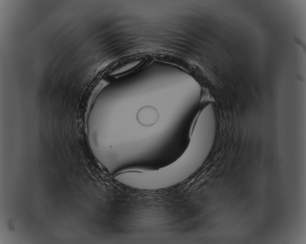 X0000093110822200710171221