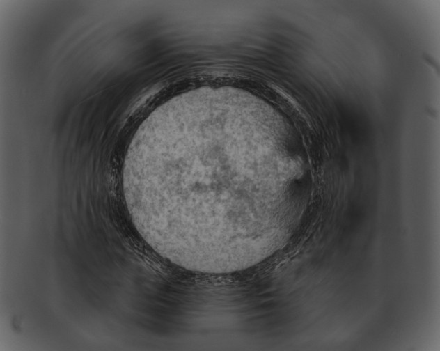 X0000093110823200710171221