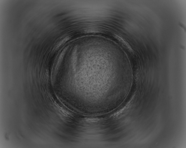 X0000093110825200710171221