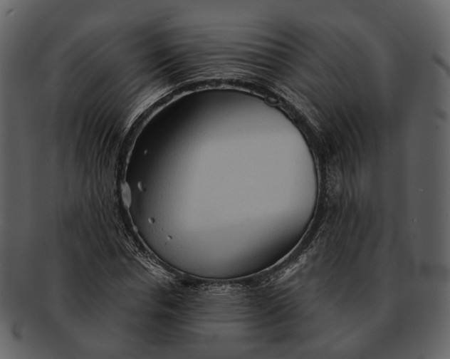 X0000093110826200710171221