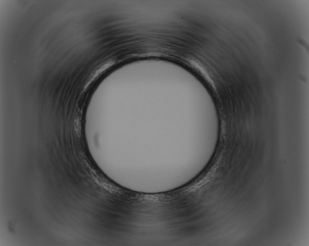 X0000093110827200710171221