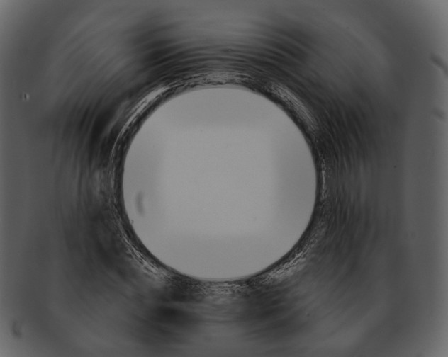 X0000093110828200710171221