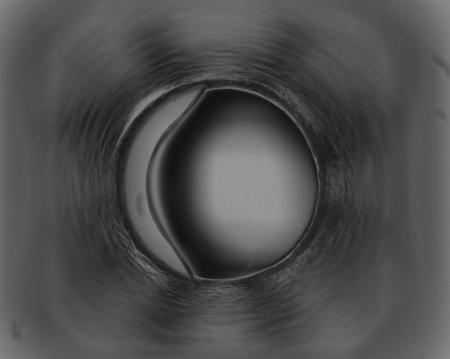 X0000093110830200710171221