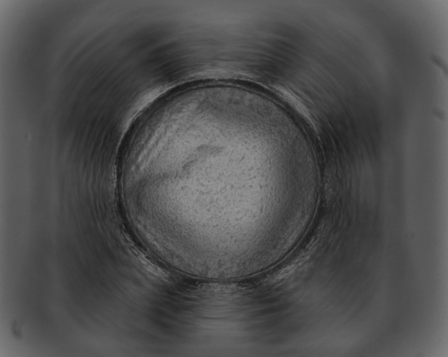 X0000093110831200710171221