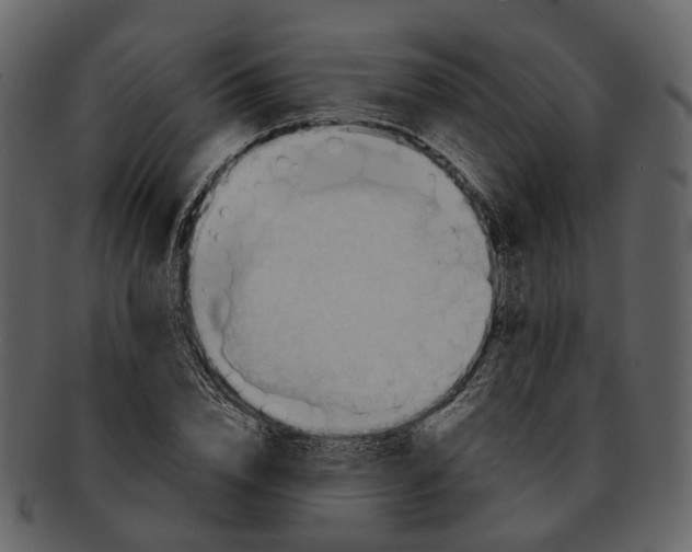 X0000093110832200710171221