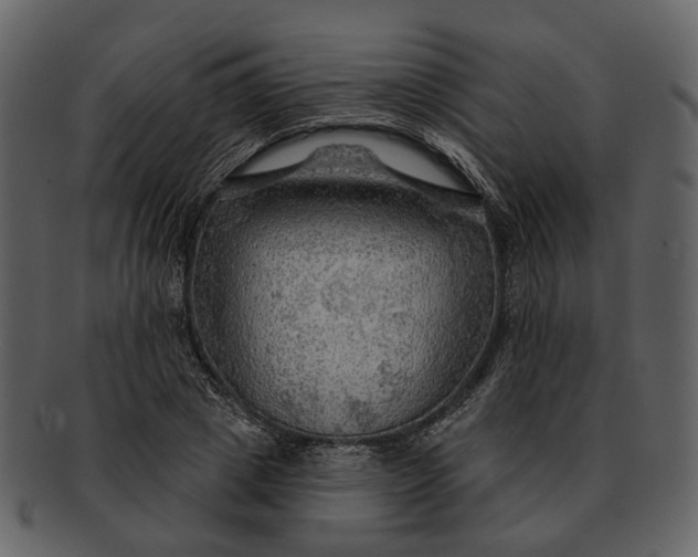 X0000093110833200710171221