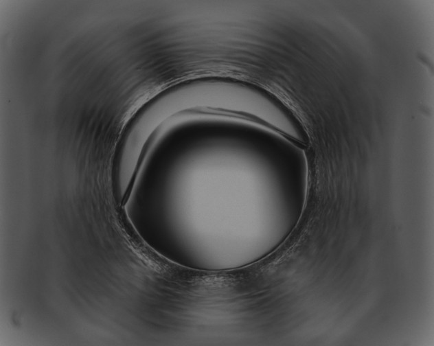 X0000093110834200710171221