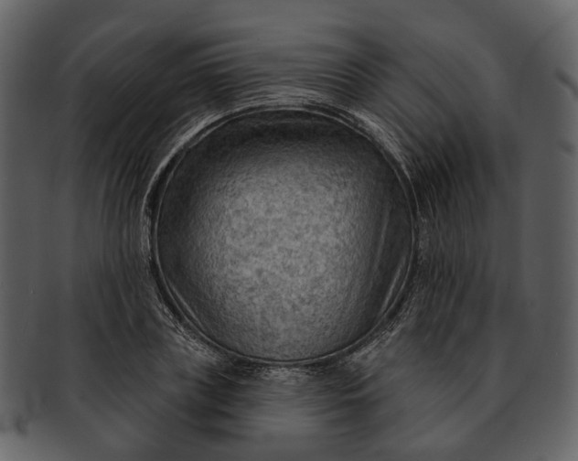 X0000093110835200710171221