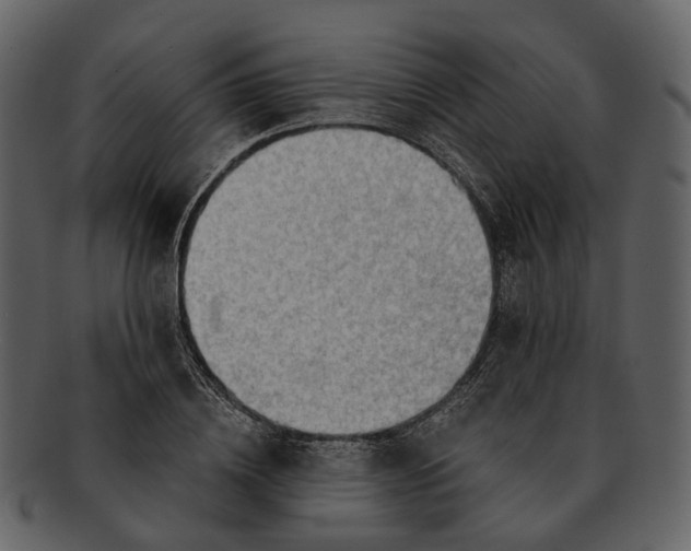 X0000093110836200710171221