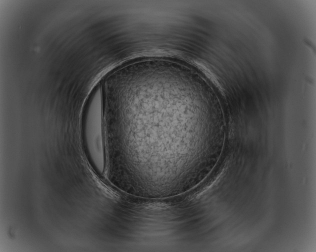 X0000093110837200710171221