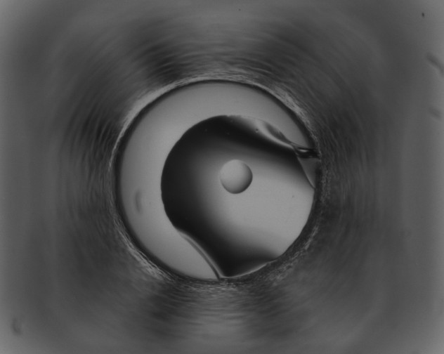 X0000093110838200710171221