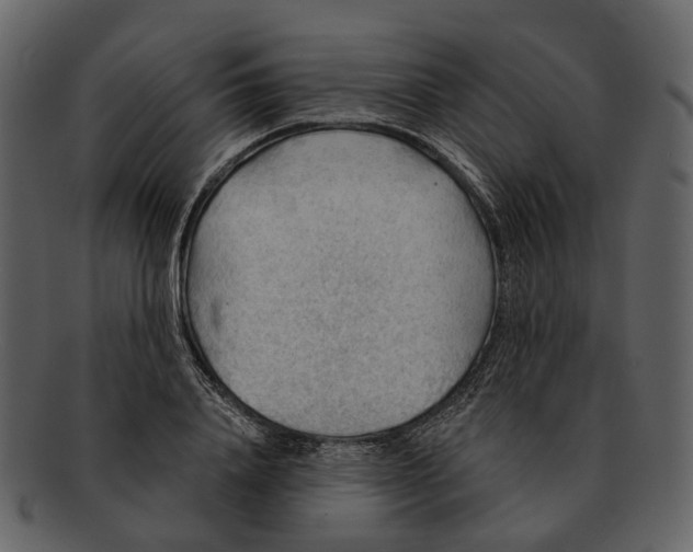 X0000093110840200710171221