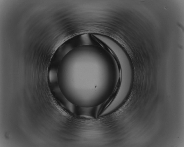 X0000093110842200710171221