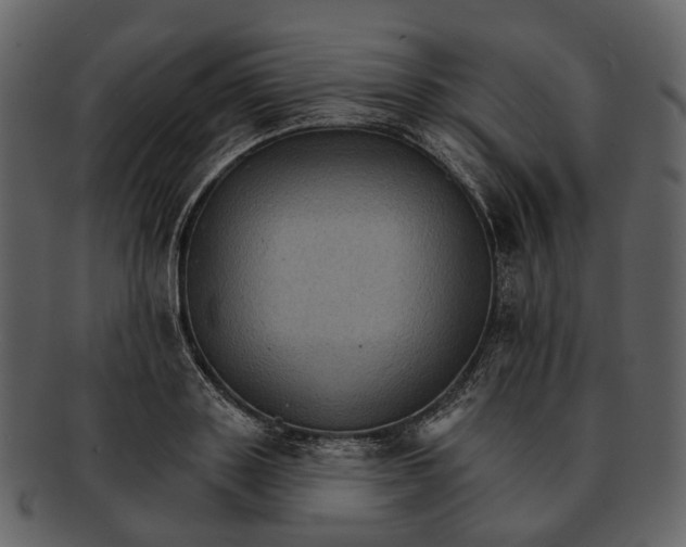 X0000093110843200710171221