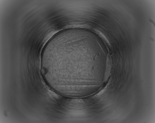 X0000093110844200710171221