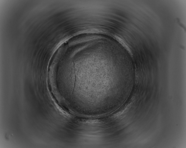 X0000093110845200710171221