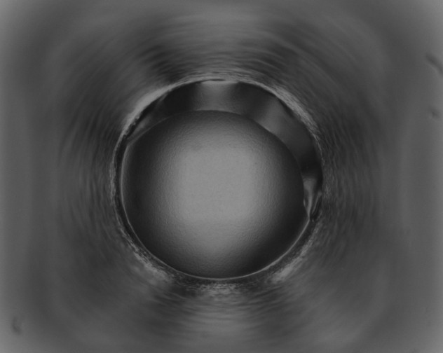 X0000093110846200710171221