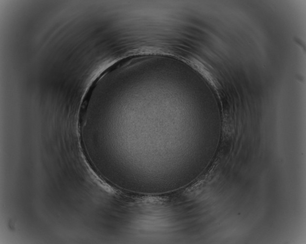 X0000093110847200710171221